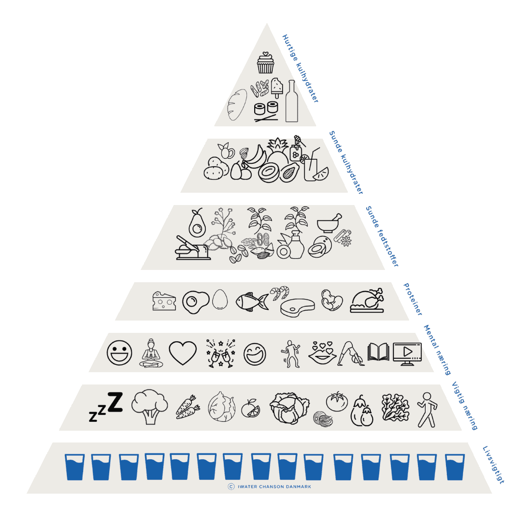 Holistisk sundhedspyramide